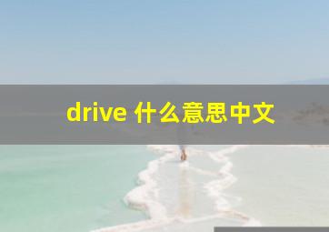 drive 什么意思中文